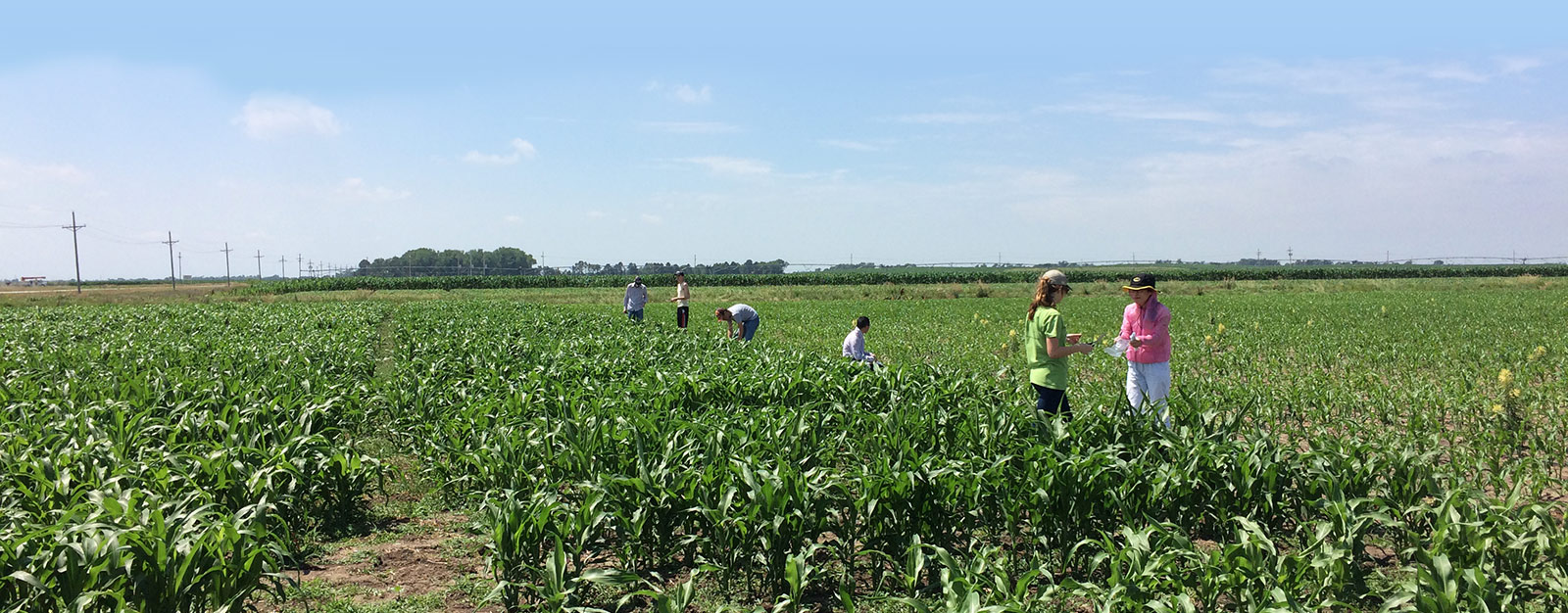Students and faculty in the field