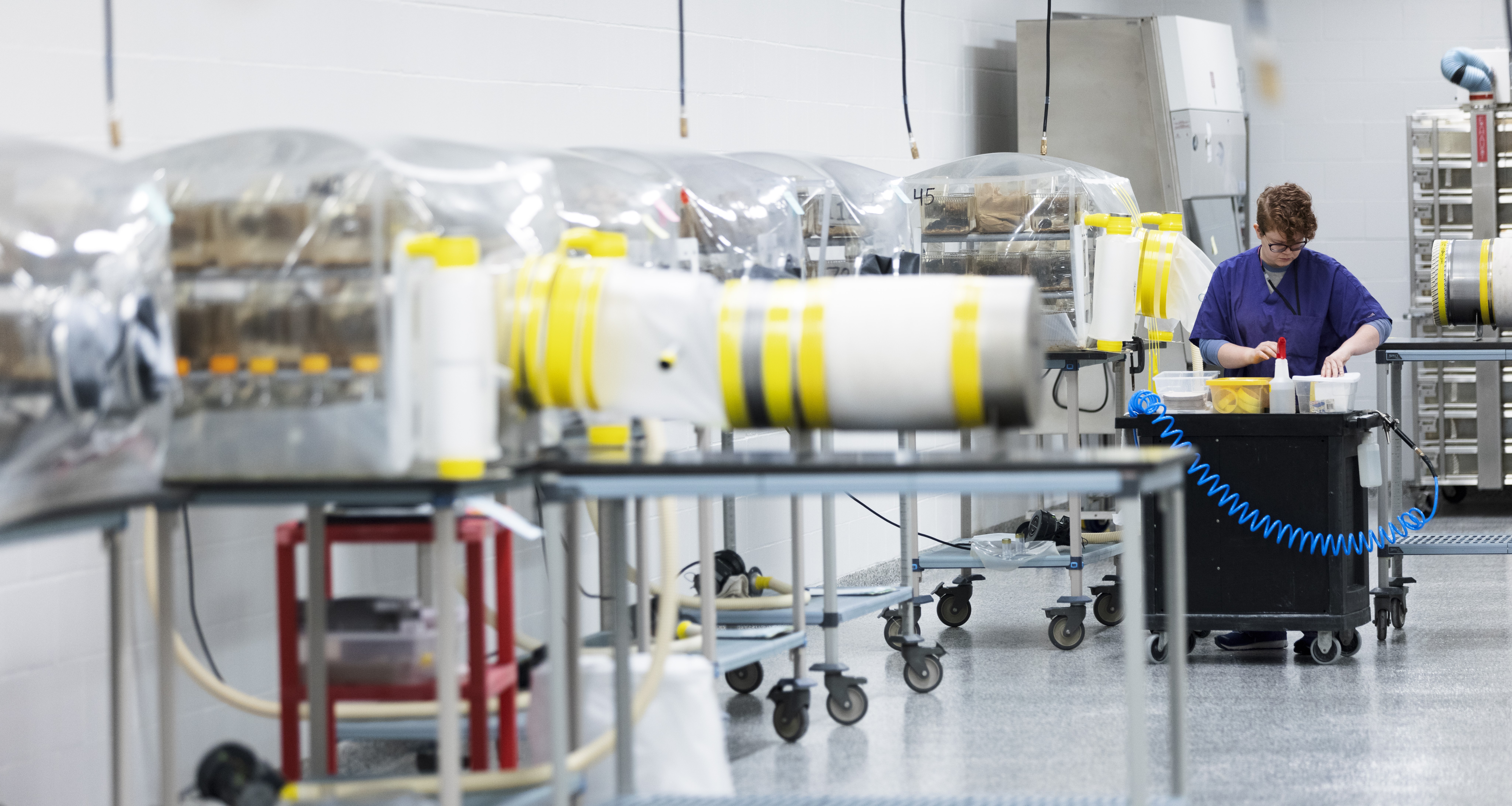 A row of Gnotobiotic Mouse houses within our Gnoto Facility, with a lab tech in the background working. 