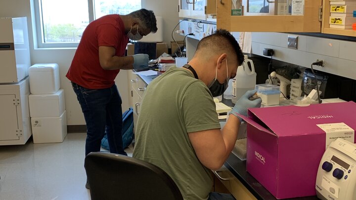 Two members of the Clayton Lab working.