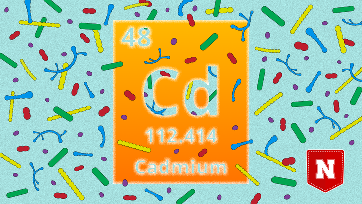 Icon photo from Pocket Science. Showing the periodic table id for Cadmium.