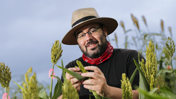 James Schnable wearing a hat in a field holding sorghum.