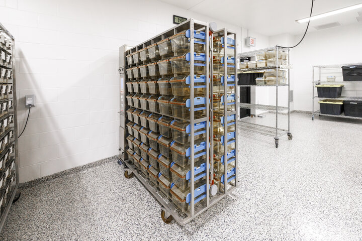 Positive Pressure ISOcage P rack