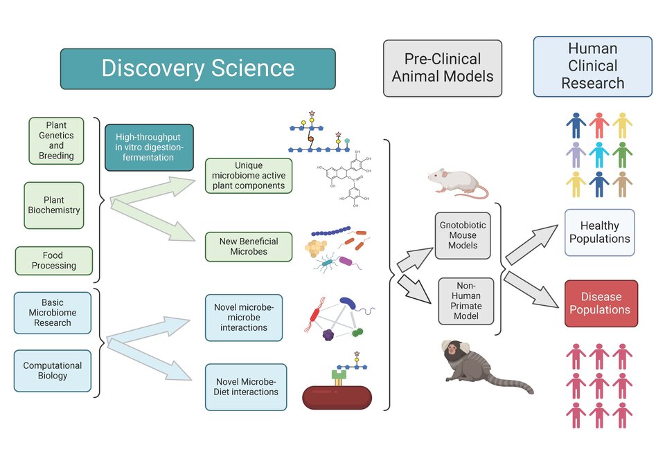 A graphic depicting the pipeline of NFHC from Discovery Science to Human Clinical Trials.